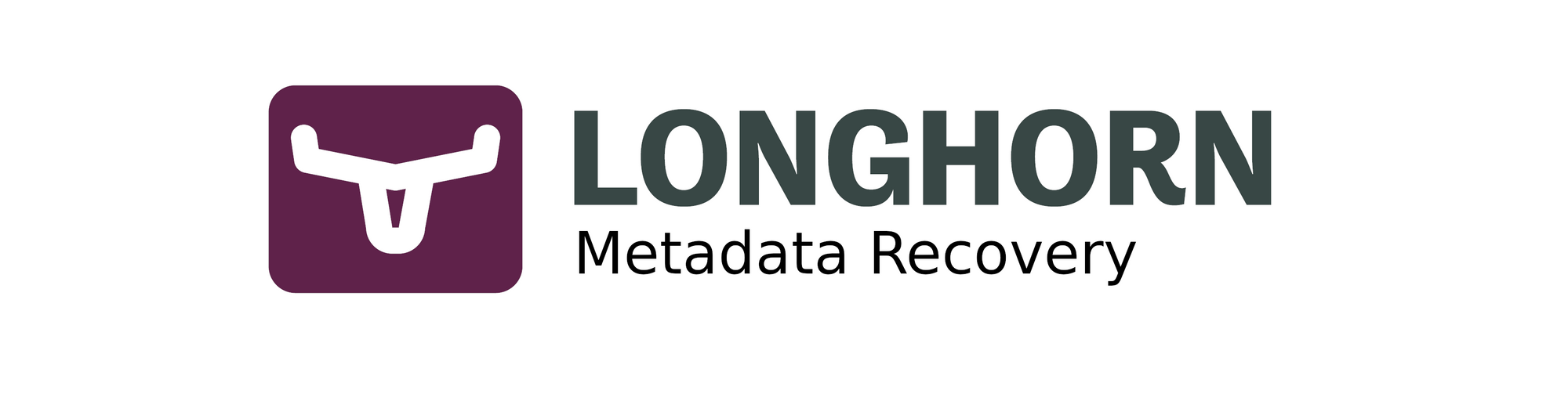 Longhorn metadata restoration